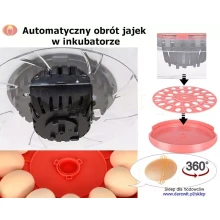automat-taca-obrotowa-jaj-inkubatora-30