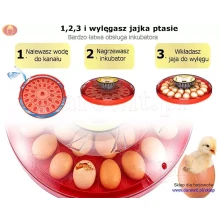 Łatwa-obsługa-inkubatora-30-jaj