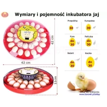 poojemnosc-inkubatora-30-jaj