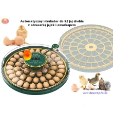 automatyczny-inkubator-wylegarka-na-52-jaj-kurzych-i-drobiu-DAR-52H-OVO automatyczny-inkubator-wylegarka-na-52-jaj-kurzych-i-drobiu-DAR-52H-OVO