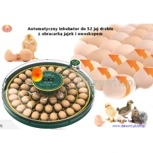 automatyczna-wylegarnia-52-jaj-kurzych-i-drobiu-DAR-52H-OVO automatyczna-wylegarnia-52-jaj-kurzych-i-drobiu-DAR-52H-OVO