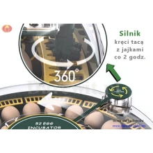 obrot-automatyczny-inkubator-jaj-DAR-52-OVO obrot-automatyczny-inkubator-jaj-DAR-52-OVO