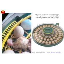wysoka-skutecznosc-wylegania-inkubator-DAR-52-OVO wysoka-skutecznosc-wylegania-inkubator-DAR-52-OVO