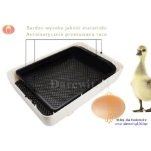 wylegarka-jaj-z-automatem-do-rotacji-Janoel