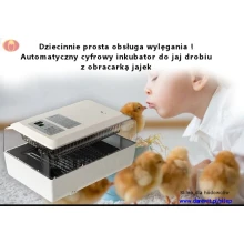 automatyczny-inkubator-jaj-ze-sterownikiem-i-obracarka