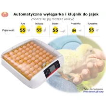 automatyczna wylęgarka klujnik do jajek 56