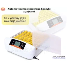 automatyczne sterowanie tacą z jajkami w inkubatorze 56