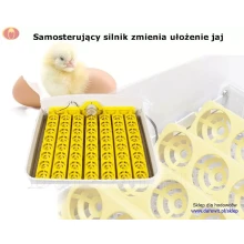 samosterujący silnik do jajek w inkubatorze 56
