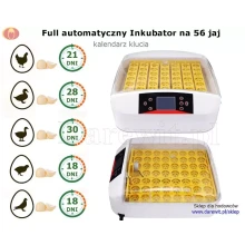 full automatyczny inkubator legowy dla kurzych jaj 56