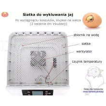 siatka lęgowa inkubatora 56 jaj