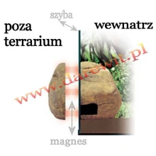 otwierana-kryjowka-dla-gekonow
