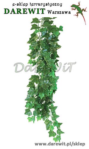 Bluszcz hedera helix - roślina sztuczna 70 cm sklep terrarystyczny