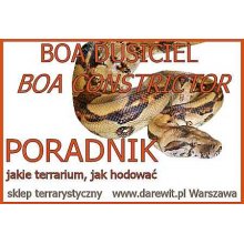 Wąż Boa poradnik hodowlany 