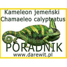 Chamaeleo kameleon jemeński abc hodowli