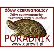 Czerwonolicy żółw wodno-lądowy ABC hodowli