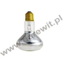 Żarówka grzewcza 40W terrarium