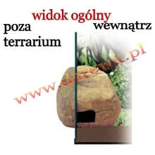 montaz-kryjowki-dla-jaszczurek