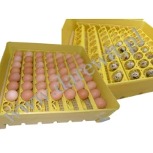 pojemnik wylęgowy na kury, kaczki, przepiórki