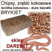 chipsy-kokosowe-sciolka-do-terrarium