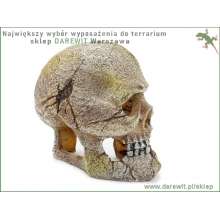 Ozboda-kryjowka-czaszka-do-terrarium