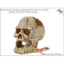 gecko-kryjowka-czaszka-do-terrarium-jaszczurki