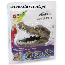 odkryj-czaszke-do-terrarium-ptasznika