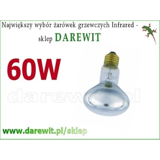  Day Light 60W R80 Lustrzanka Neodymium terrarium, ogrody, kurniki