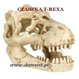 kryjowka-czaszka-dinozaura-do-terrarium-gadow