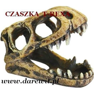 czaszka-T-Rex-do-terrarium-akwarium