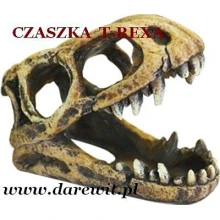 czaszka-T-Rex-do-terrarium-akwarium