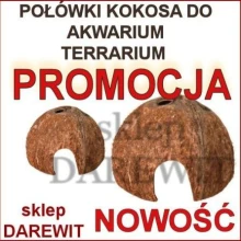 Niskie ceny kokosowych łupin