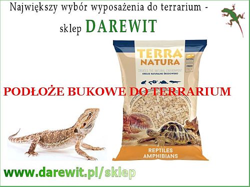 podłoże drewienka bukowe