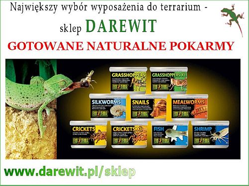 Owady gotowane naturalna karmówka Exo Terra