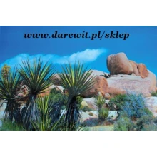 DWUSTRONNE TŁO DO TERRARIUM STEP lub SAWANNA DWUSTRONNE TŁO DO TERRARIUM STEP lub SAWANNA