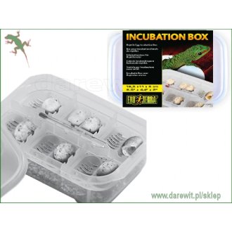 Exo-Terra-Incubation-Box-Pojemnik-inkubacyjny