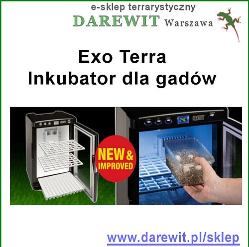 PT2445 Incubator Exo Terra - inkubator jaj gadów