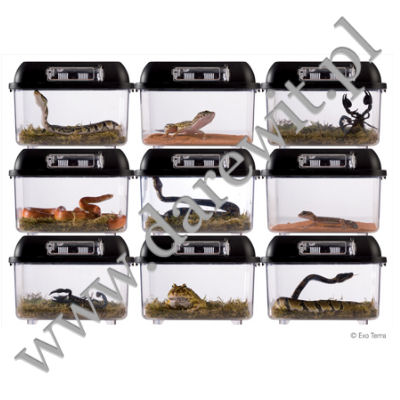 Faunarium małe Breeding Box Exo Terra