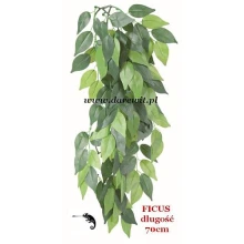 FICUS 70cm TERRA PLANT- wisząca sztuczna roślina do terrarium kameleona