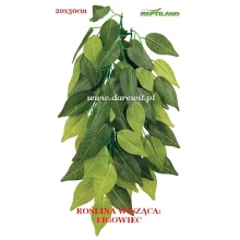  FIGOWIEC-wiszaca-sztuczna-roslina-terrarium