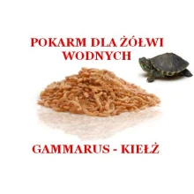 Pokarm dla żółwia wodnego