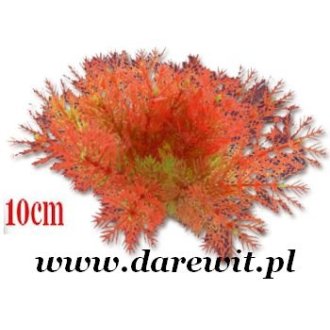 sztuczna roślina do terrarium sklep Darewit