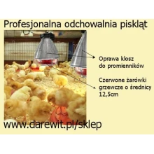 Łatwe i tanie ogrzewania kurczaków z inkubatora