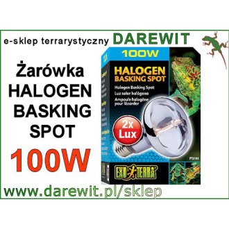 Halogen Basking Spot 100W - Sun Glo Neodymium EXO-TERRA PT21830