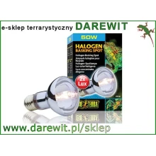 Żarówki halogeny do wysokiego terrarium