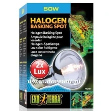 Halogeny dla terrarium