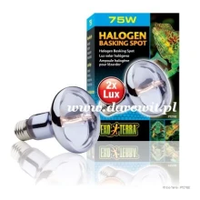 Halogen Basking Spot 75W - Sun Glo Neodymium EXO-TERRA  PT2182