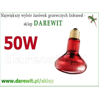 Heat Night 50W R80 Terrarex, żarówka emitująca podczerwień IR