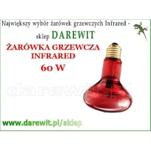 zarówka-nocna-grzewcza-dla-gadow-60W zarówka-nocna-grzewcza-dla-gadow-60W
