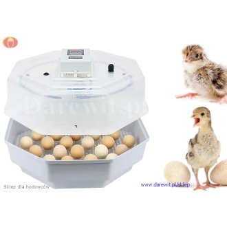 inkubator-wylegowy-na-60-jaj-kurzych-CLEO-PRO