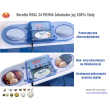 Borotto REAL 24 Inkubator Prima Italy